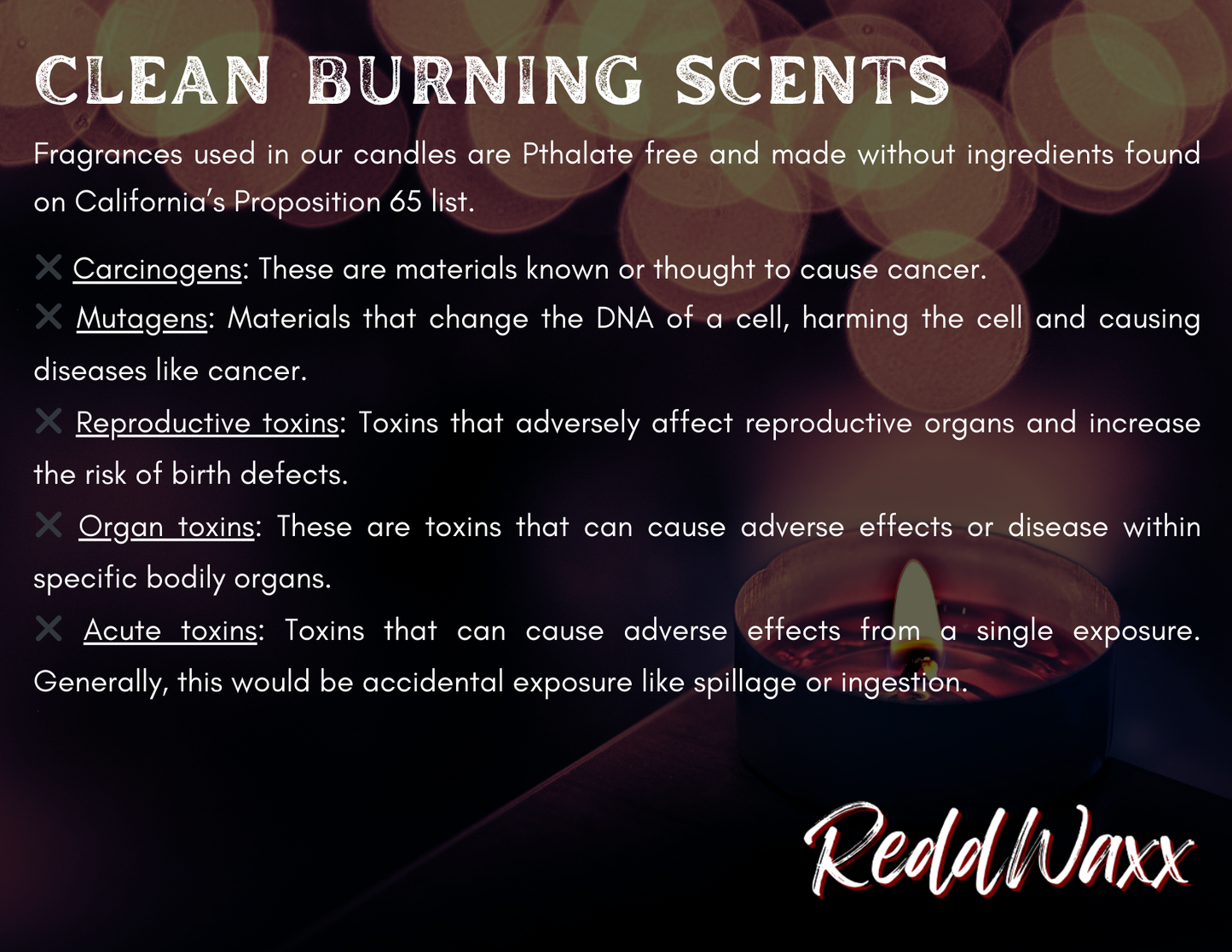 Cherish The Day Clean-Burning Candle