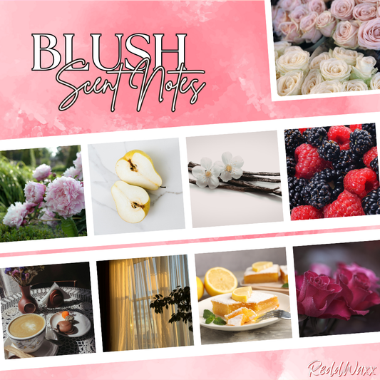BLUSH - Signature Flame