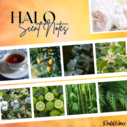 HALO - Signature Flame