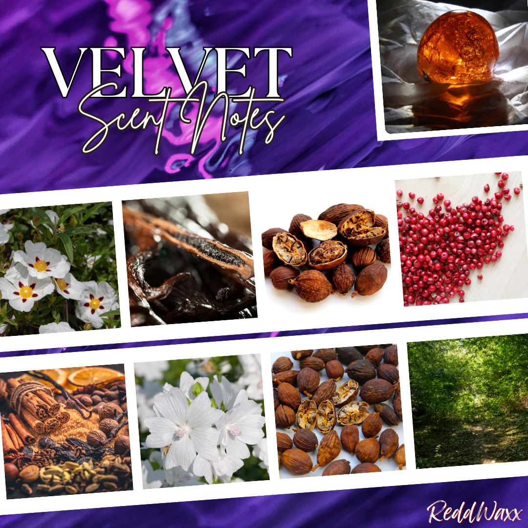 VELVET - Signature Flame